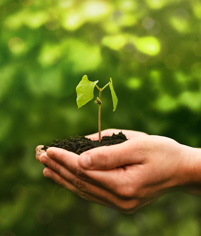 Ekologia to priorytet